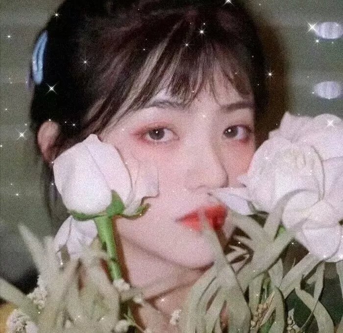 长白·灵蛇传